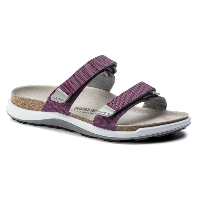 Birkenstock Sahara Birko-Flor Two Strap Sandals Purple | pJjWonj5IfO